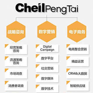 全托管电商整体代运营服务