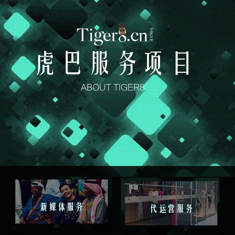 虎巴股份 - 专业电商代运营服务