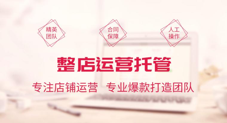 思路网 电商服务 整体托管/代运营 代运营 整店托管专注于提供包括